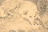 E. J. Hughes, Sancho #14/40, 1936, etching on paper