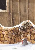Helen Kowallek, Untitled - The Wood Pile, oil on masonite