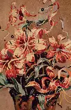 James McLaren Nicoll, Tiger Lillies