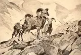 Carl Rungius, On the Skyline