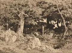 Théodore Rousseau, Chenes De Roche, 1861, etching on chine appliqué to wove paper