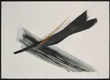 Toko Shinoda, Signature