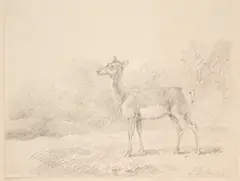A Deer by Sawrey Gilpin R.a., pencil, sold Oct 2024