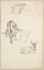 Robert Hills, A Sheet Of Studies Of Donkeys, pencil