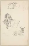 Robert Hills, A Sheet Of Studies Of Donkeys, pencil