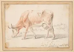 A Cow Grazing by Hendrik Willem Schweickhardt, chalk on laid paper, sold Oct 2024
