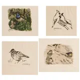 Robert Hainard, Petits o_iseaux_