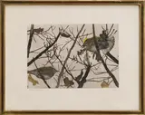 Robert Hainard, Oiseaux
