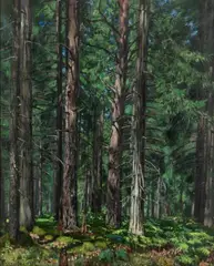 Stanisław Żukowski, Puszcza Swisłocka, 1934 r., 1934, olej, płótno