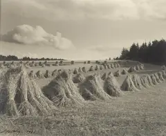Edward Hartwig, Snopki, 1926, 1926, fotografia czarno-biała, odbitka bromowa (vintage print)