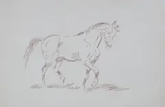Karol Kossak, Koń, przed 1968 r., flamaster, papier
