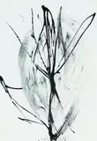 Magdalena Abakanowicz, Bez tytułu, 2004, 2004, tusz, akryl, papier, 29