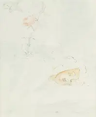 Maja Berezowska, Sen, akwarela, papier