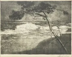Stanisław Szwarc, Morze, litografia, papier, 35