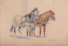 Karol Kossak, Konie, 1953 r., 1953, akwarela, papier, 27