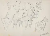 Karol Kossak, Szkice koni, ołówek, papier