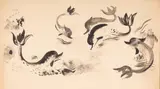 Jan Marcin Szancer, Delfiny, tusz, papier