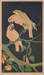 Aleksander Laszenko, Papugi, 1935, 1935, drzeworyt, papier, 45