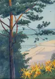 Soter Jaxa-Małachowski, Orłowo: Sosna, 1925 r.