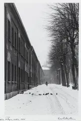 Eva Rubinstein, Księży Młyn. Łódź, 1984, 1984, odbitka żelatynowo-srebrowa, papier fotograficzny