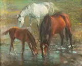 Zenon Aniszewski, Konie na łące , 1986 r., 1986, olej, płótno, 38