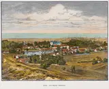 Gustav Schönleber, Oliva. Von Gustav Schönleber