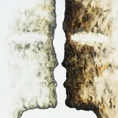 Bez tytułu by Wit Bogusławski, olej, płótno, sold Jan 2025