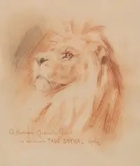 Tadeusz Styka, Głowa lwa, 1911, 1911, sangwina, ołówek, papier, 23