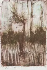 Jacek Sienicki, Ostrowik, 1999, 1999, pastel, ołówek, papier