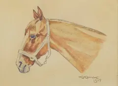 Karol Kossak, Studium głowy konia, 1947, 1947, akwarela, papier, 20