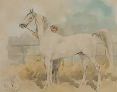 Juliusz Kossak, W stajni, 1894, 1894, akwarela, ołówek, papier, 19