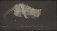 Tadeusz Rychter, Kotek, 1906 r., 1906, olej, papier, 9