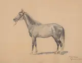 Karol Kossak, Koń, 1925 r.