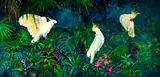 Patrycja Kruszyńska-Mikulska, White parrots, 2024, 2024, akryl, płótno