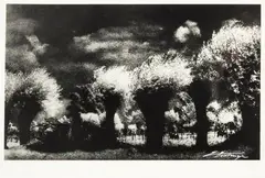 Edward Hartwig, Bez tytułu, fotografia czarno-biała, papier błyszczący