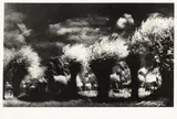 Edward Hartwig, Bez tytułu, fotografia czarno-biała, papier błyszczący