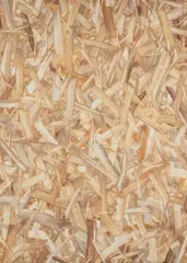Mateusz Piestrak, OSB750X550X25MM, 2020, 2020, olej, płótno