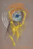 Aleksander Korman, Akomodacja, 2015, 2015, akryl, pastel, płótno