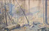Jan Kazimierz Olpiński, Las, akwarela, papier