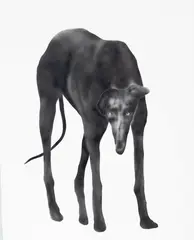 Bez tytułu, 2022 by Jędrzej Bieńko, 2022, akryl, płótno, sold Dec 2023