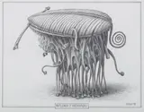 Jacek Yerka, Ratlerek z Prekambru, 2018, 2018, ołówek, papier