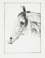 Artur Popek, Klacz II, 1989, 1989, sucha igła, papier