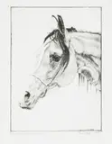 Artur Popek, Klacz II, 1989, 1989, sucha igła, papier