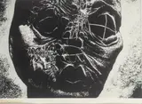 Bez tytułu by Zdzisław Beksiński, fotografia czarno-biała (vintage print), papier barytowy, 16, sold Aug 2023