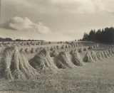 Edward Hartwig, Snopki, 1926, 1926, fotografia czarno-biała, odbitka bromowa (vintage print)