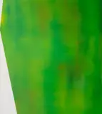 Bartosz Kokosiński, Bez tytułu, z cyklu „Szumy”, 2013, 2013, olej, płótno