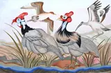 Maria Górska-Kobylińska, Perliczki, akwarela, gwasz, papier
