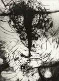 Bronisław Schlabs, Fotogram T16/58, fotografia, 21
