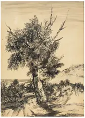 Jerzy Tchorzewski, Drzewa / Małżeństwo Rosenberg - praca dwustronna, tusz lawowany, papier
