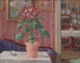 Zofia Albinowska-Minkiewiczowa, Kwitnąca werbena w salonie, olej, płyta, 38